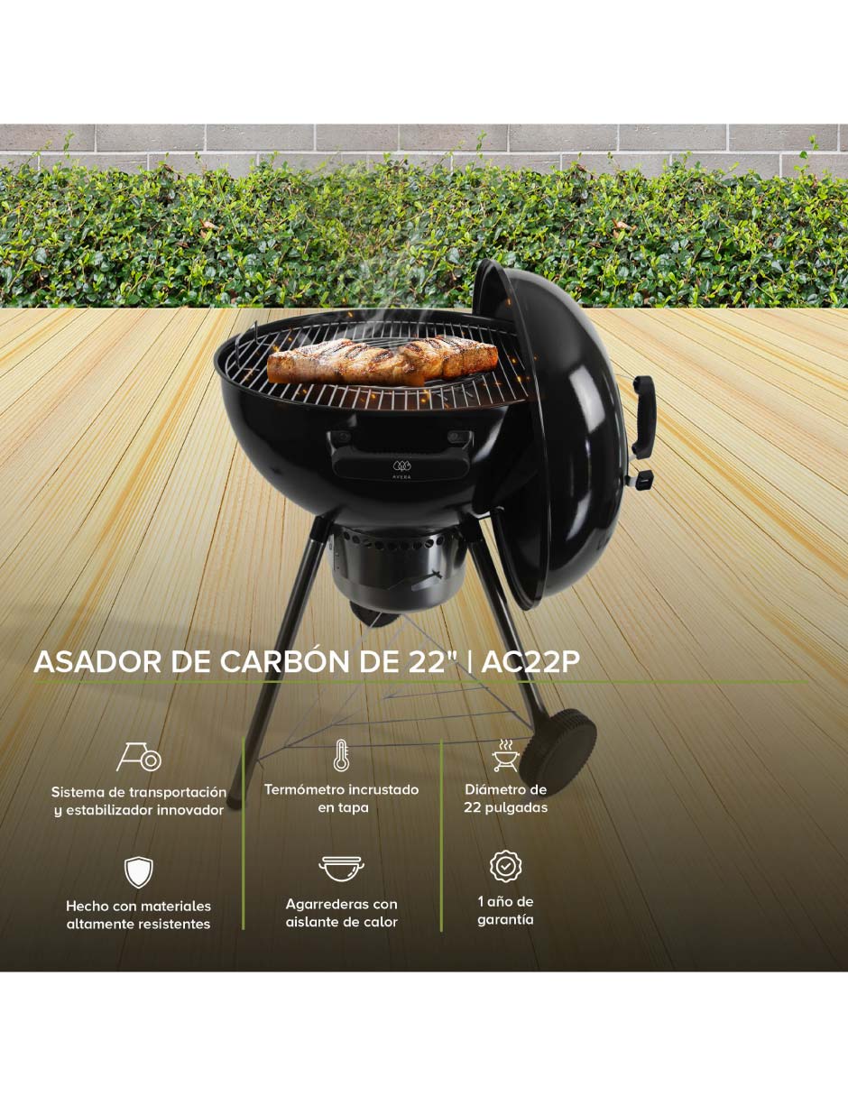 Asador de carbón AC22P