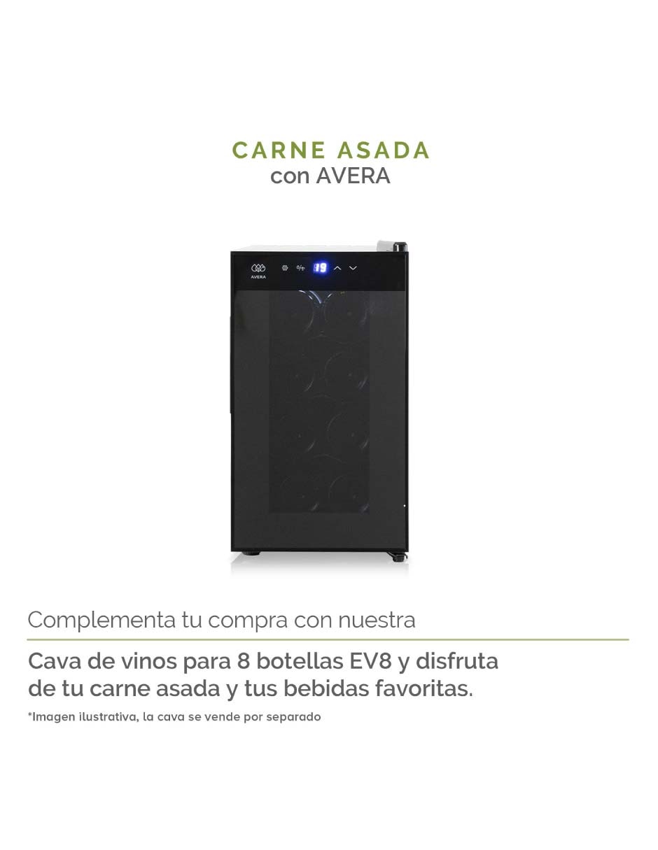 Asador de carbón AC22P