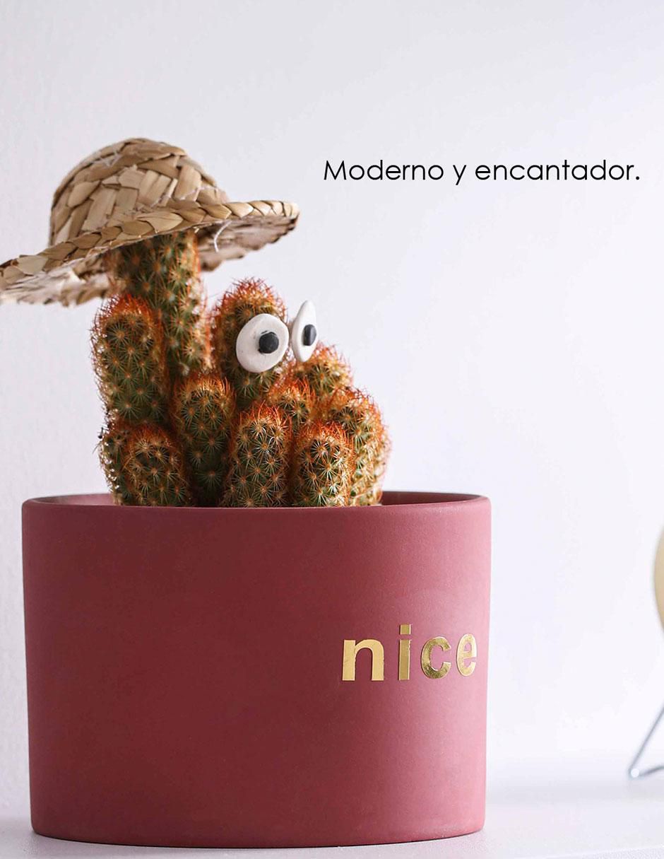 Maceta con base Nórdica de cerámica con sistema automático de riego 5