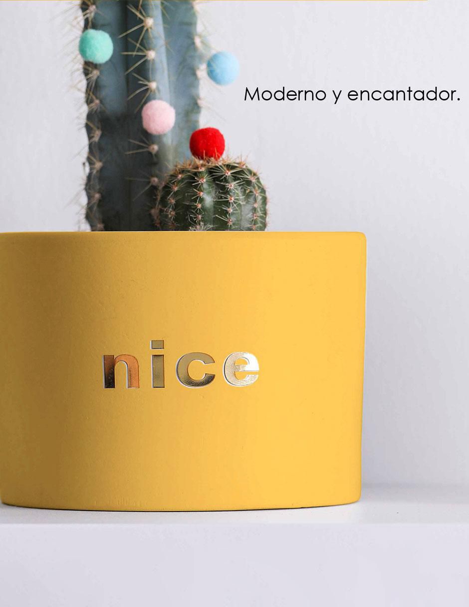 Maceta con base Nórdica de cerámica con sistema automático de riego 5