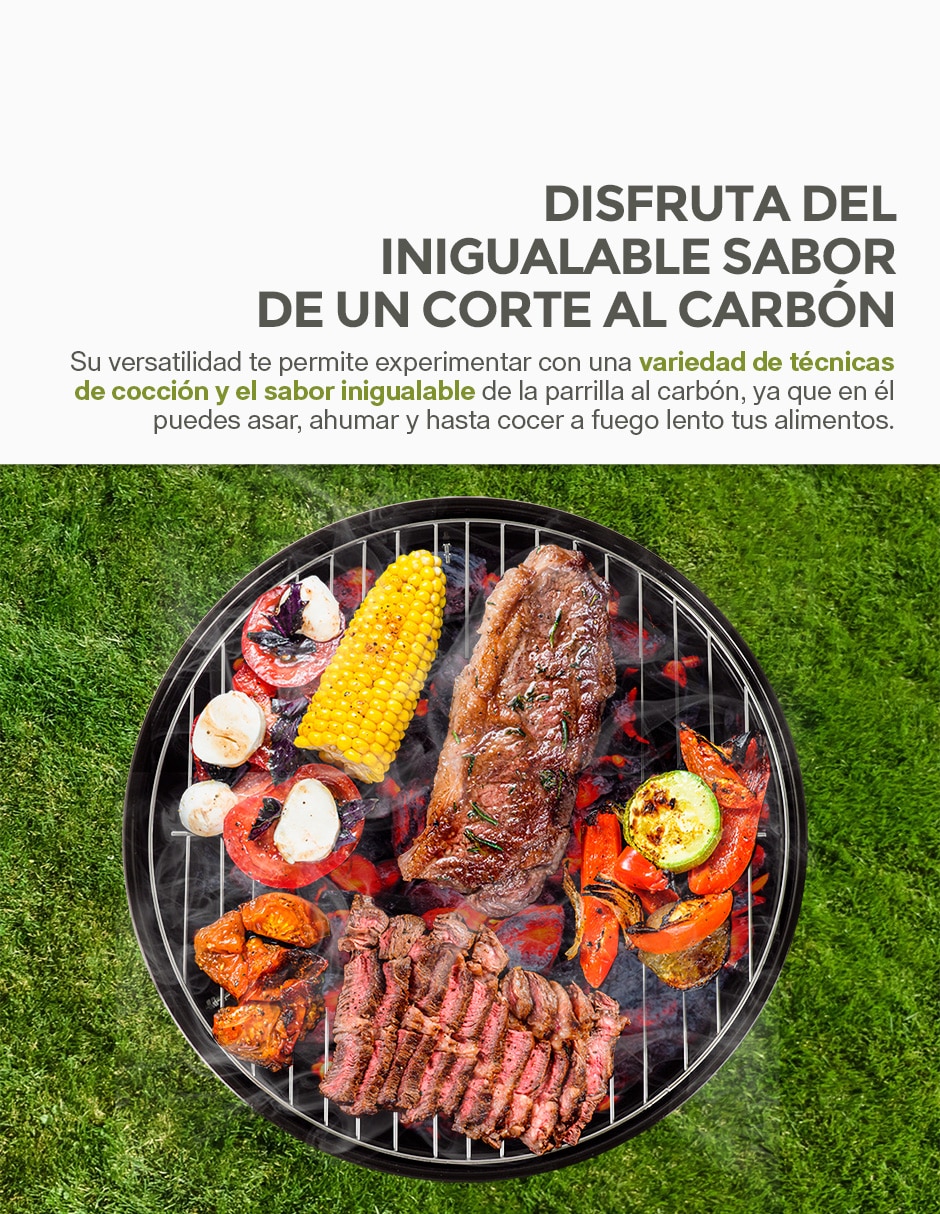 Asador carbón portátil de acero inoxidable 6