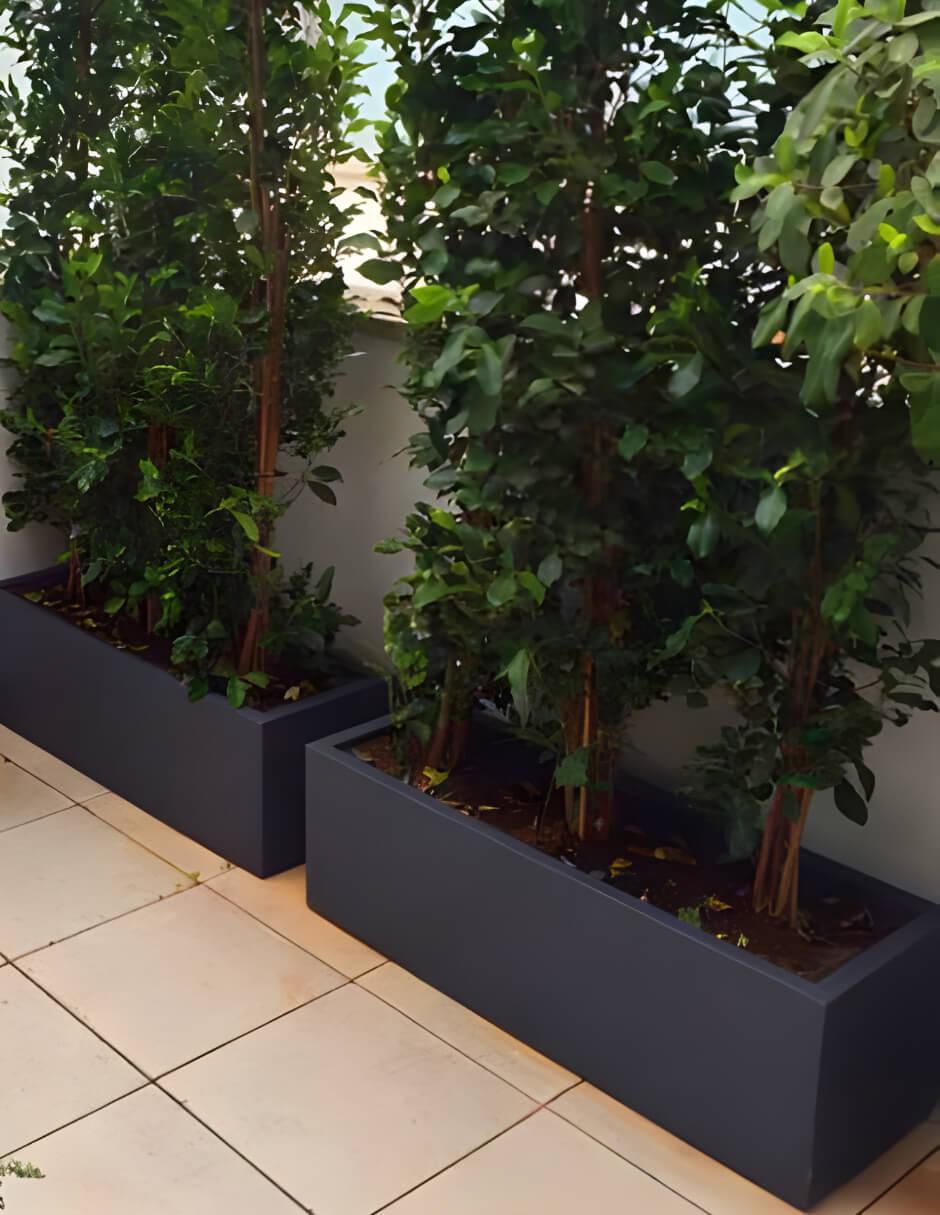 Maceta Jacaranda de plástico con sistema automático de riego