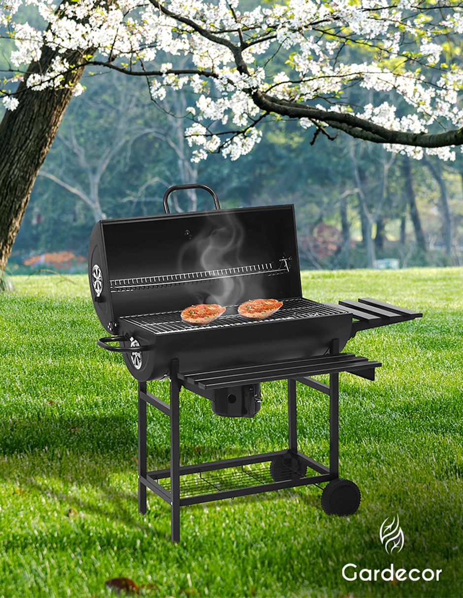 Asador carbón ASA-2N de hierro 7