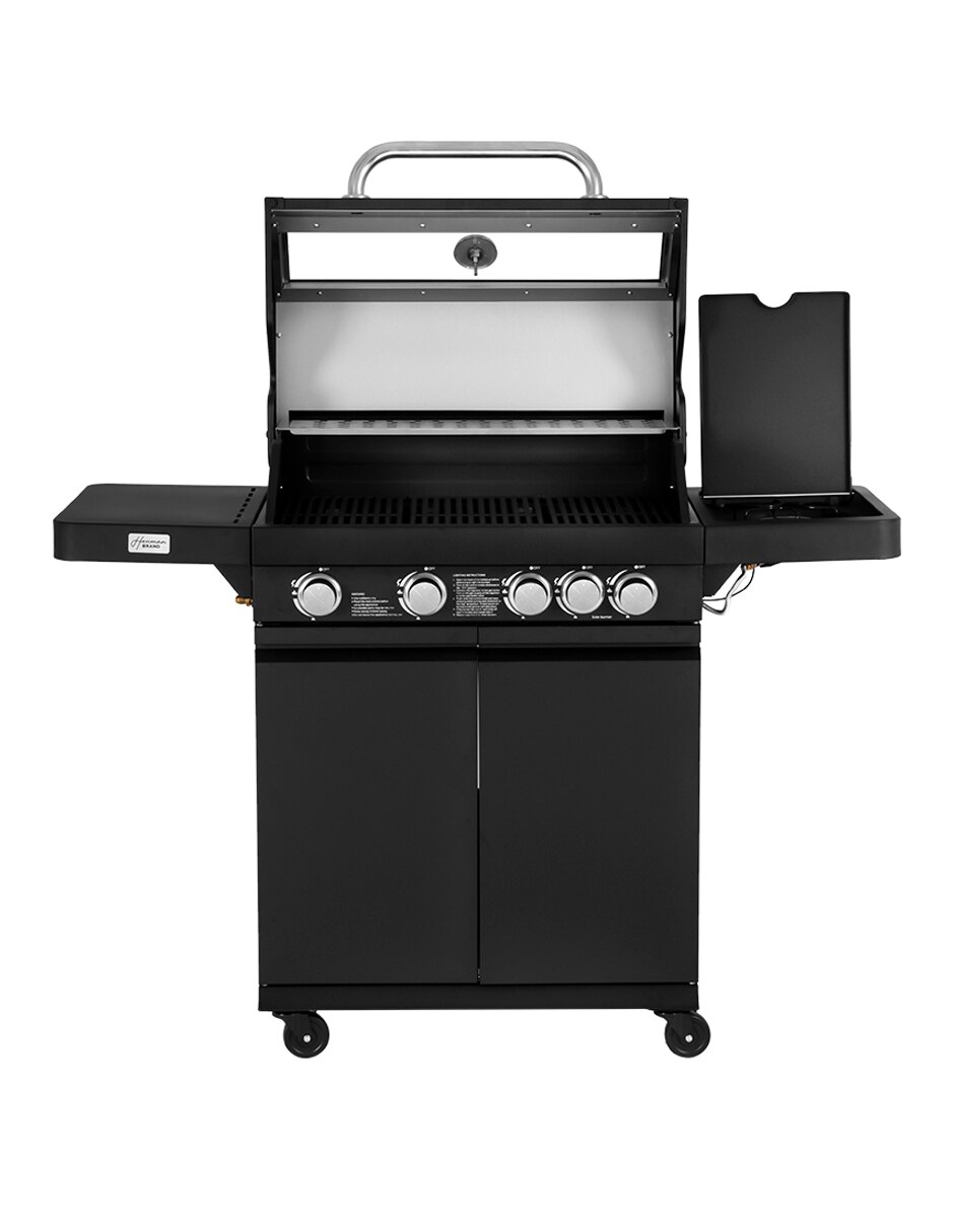 Asador de gas 2