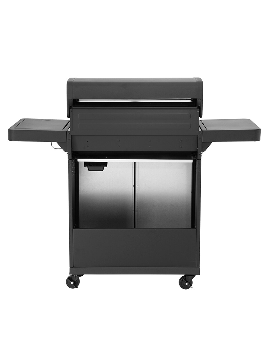 Asador de gas 10