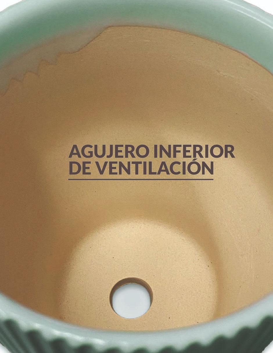 Maceta con base de cerámica 5