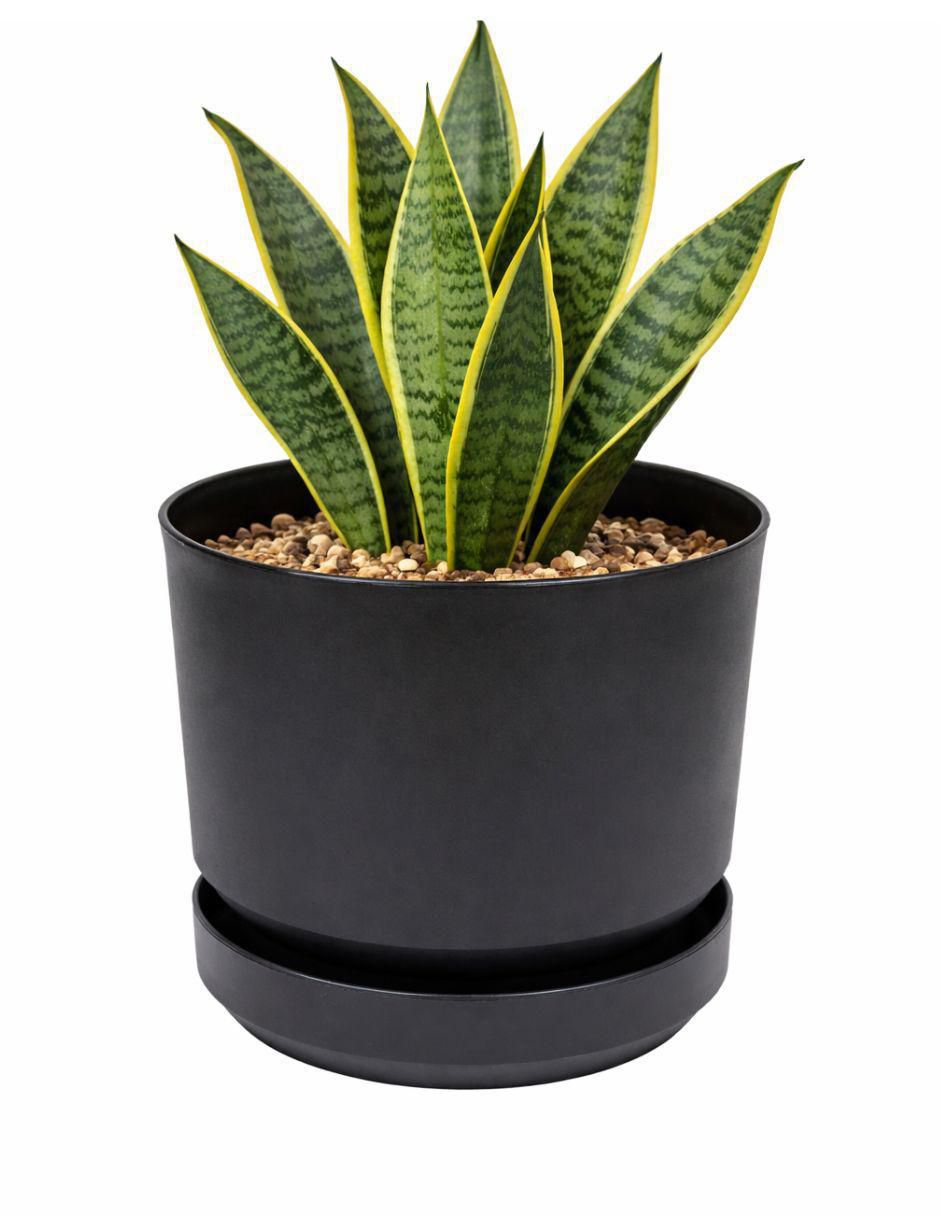 Maceta Elly Decor de plástico con sistema automático de riego